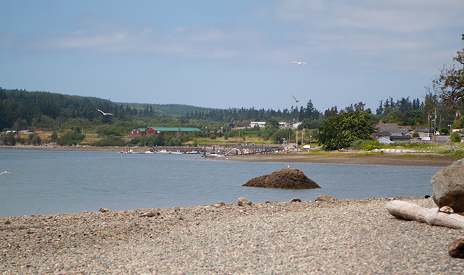 A sunny day at Tulalip Bay on the beach with seagulls gliding above the water.